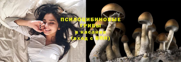 молекула духа Волосово