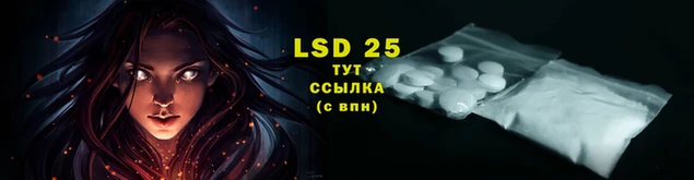 mdpv Волоколамск
