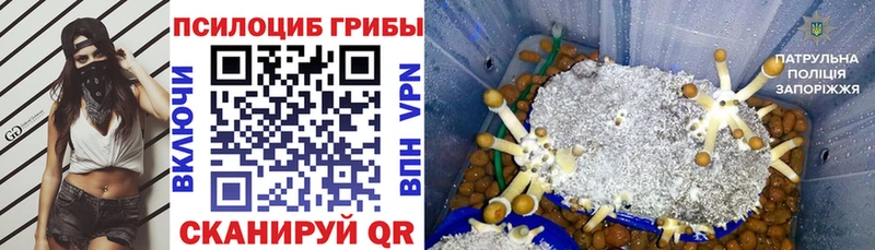 Псилоцибиновые грибы Magic Shrooms Владикавказ